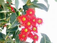 Albums/20060200-New Zealand 2006/20060203-Banks_Akaroa/19